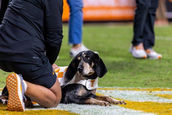 Smokey X rests on the field after the game against Georgia at Neyland Stadium. Saturday, Nov. 18, 2023.
