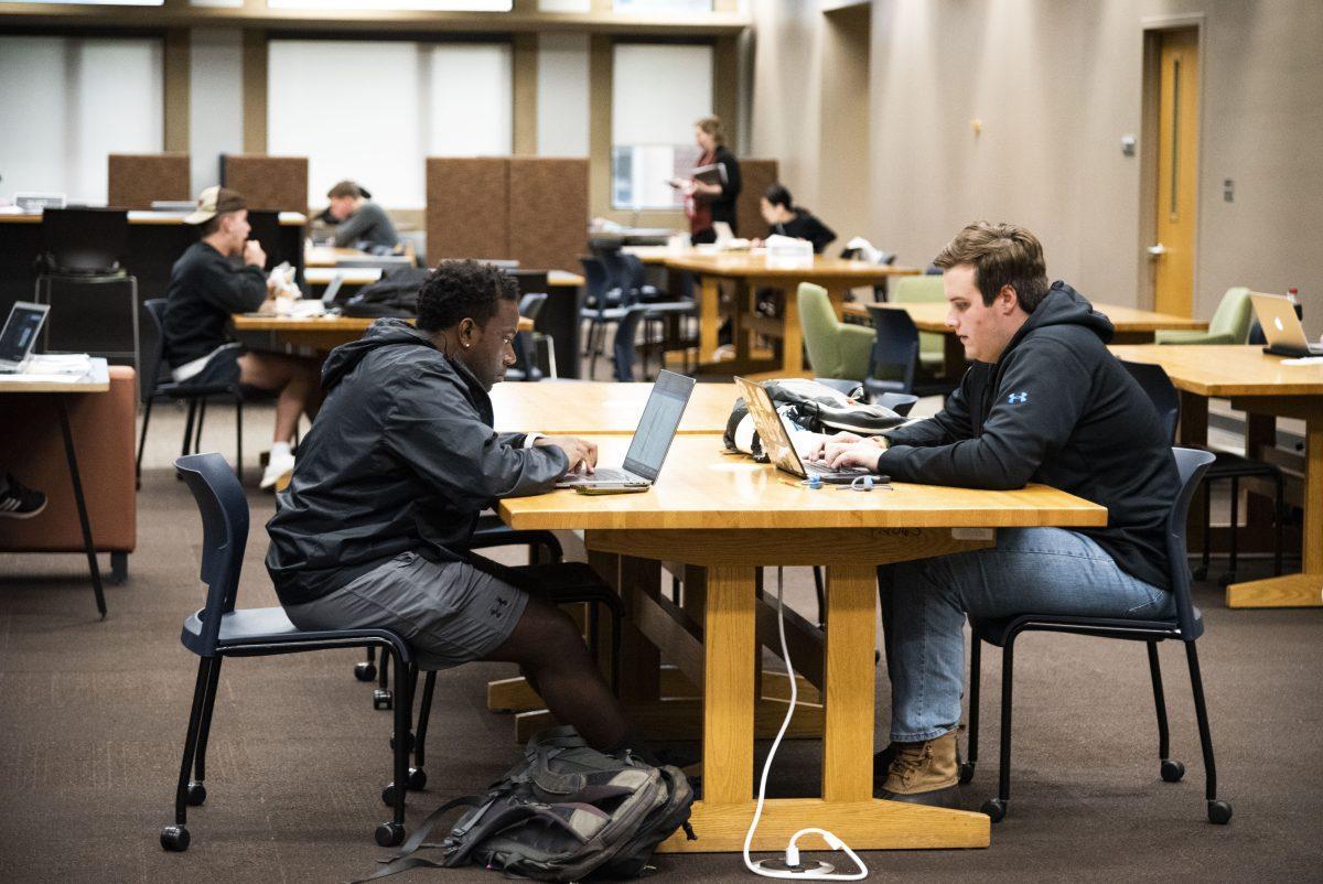 Students studying in Hodges Library.