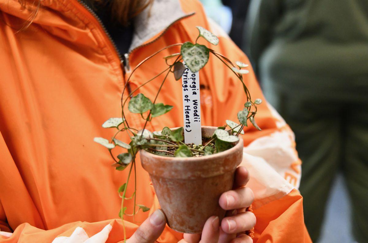 A student holds a plant at the UT Gardens Spring Spectacular Plant Sale on April 9, 2022. 