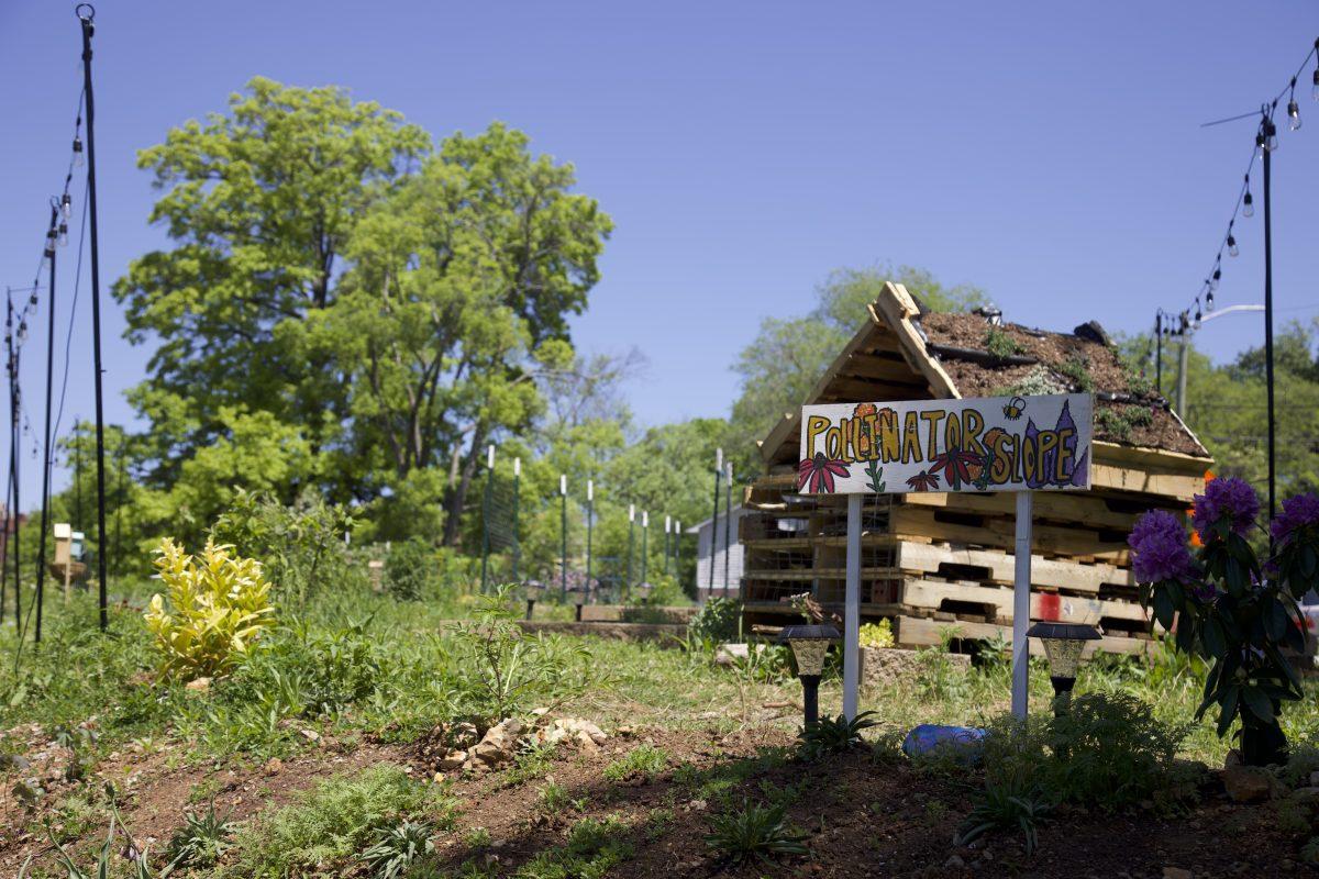 The UT Grow Lab, situated on a steep hillside on Terrace Avenue, is designed to be a living laboratory. Monday, April 22, 2024.