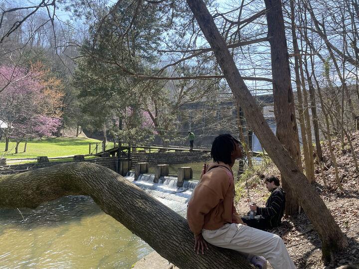 The UTK Mindfulness and Meditation Club hosts an annual spring retreat in the woods.