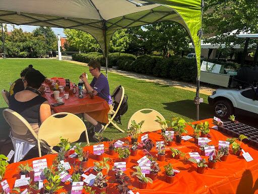 Plants offered by Rocky Top Recovery, featuring students painting their pots. Sept. 23, 2024