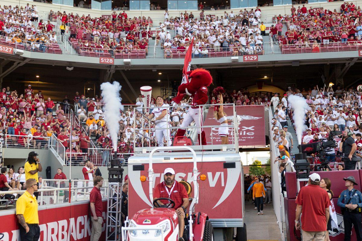 Tusk the Razorbacks enters the stadium before a game between Tennessee and Arkansas at Donald W. Reynolds Razorback Stadium. Saturday, Oct. 5, 2024. 
