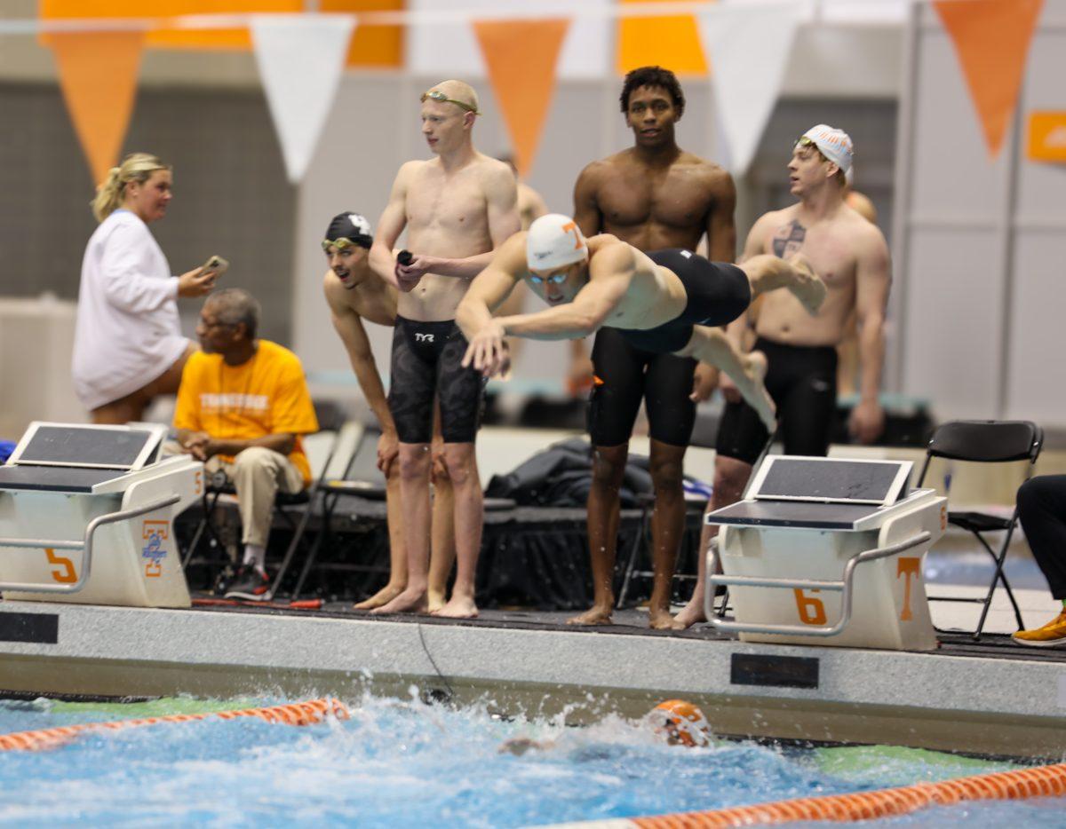 Jack Stelter dives in his relay race against the University of Kentucky at Allan Jones Aquatic Center. November 19, 2024.