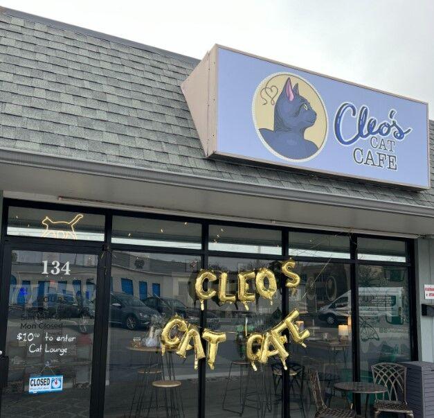 Cleo's Cat Cafe opened its doors on Sunday, Nov. 24, 2024 and provides a safe place where cats and cat lovers alike can bond.