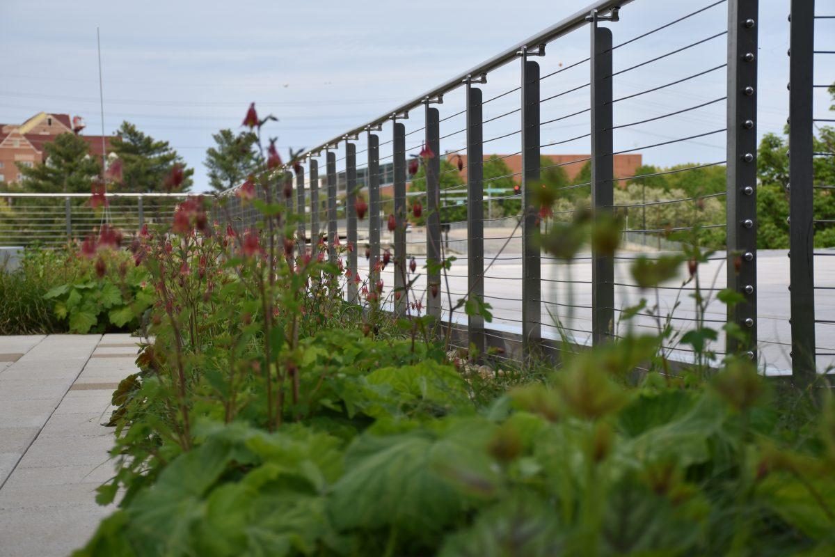 The new Green Roof on top of the Agriculture and Natural Resources Building offers an ecological and the social space where humans and nature can coexist.