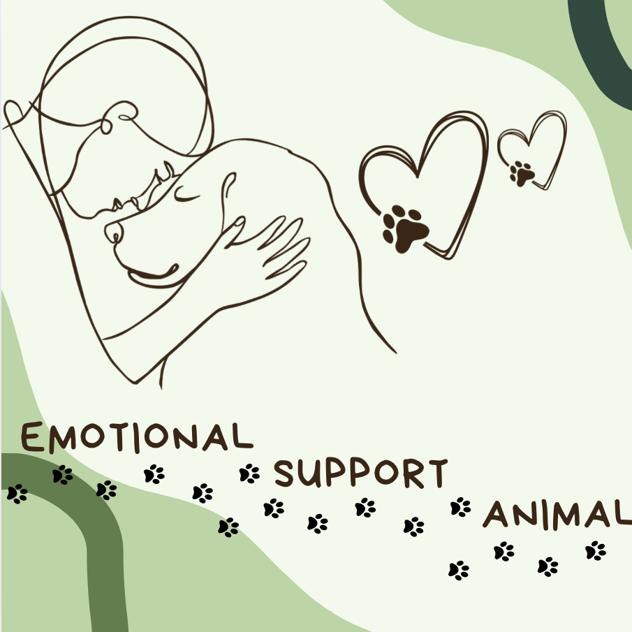 As the number of Emotional Support Animals are increasing, UT is equipped with the sufficient resources to help accomdate students' pets. Sunday, May 11, 2025.