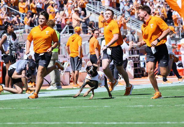 Smokey runs through the "Power T" before the game against UAB in Neyland Stadium. Saturday, Sept. 20, 2025.