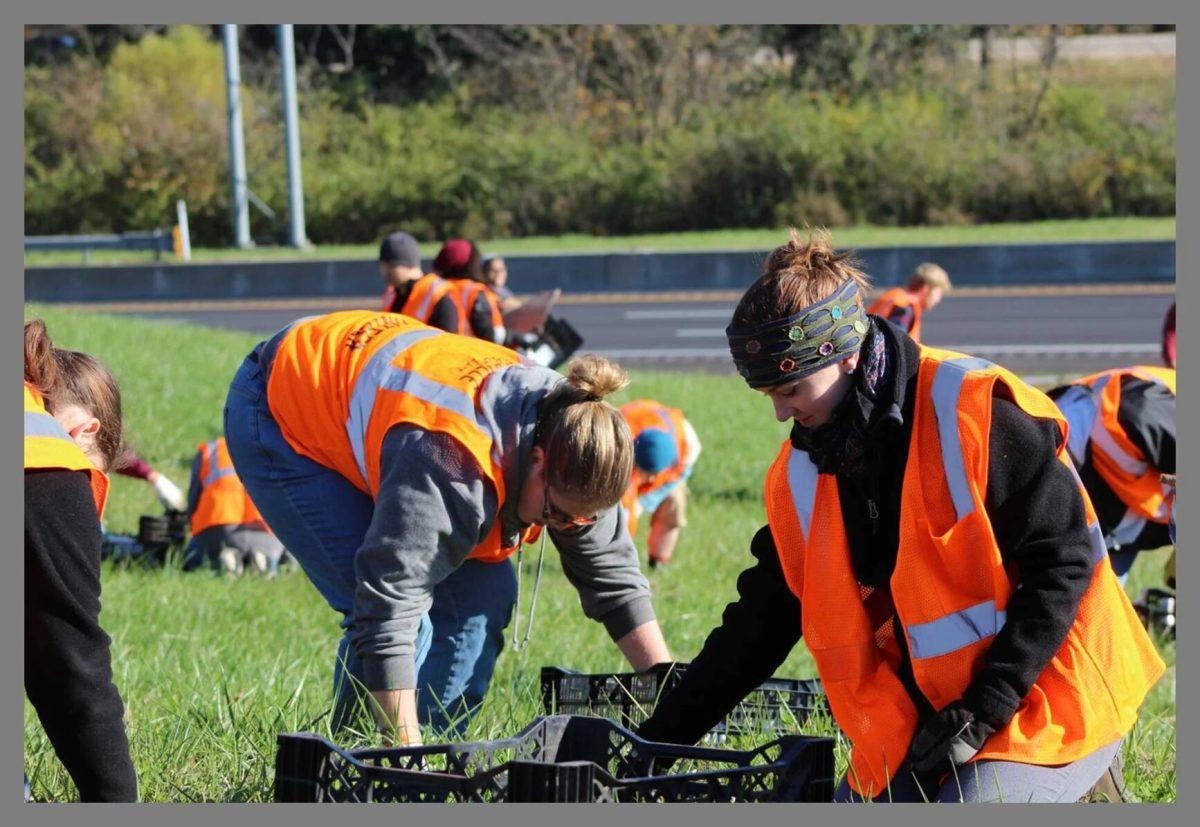 Volunteers of Keep Knoxville Beautiful work to clean up the city. Thursday, Oct. 9, 2025. 