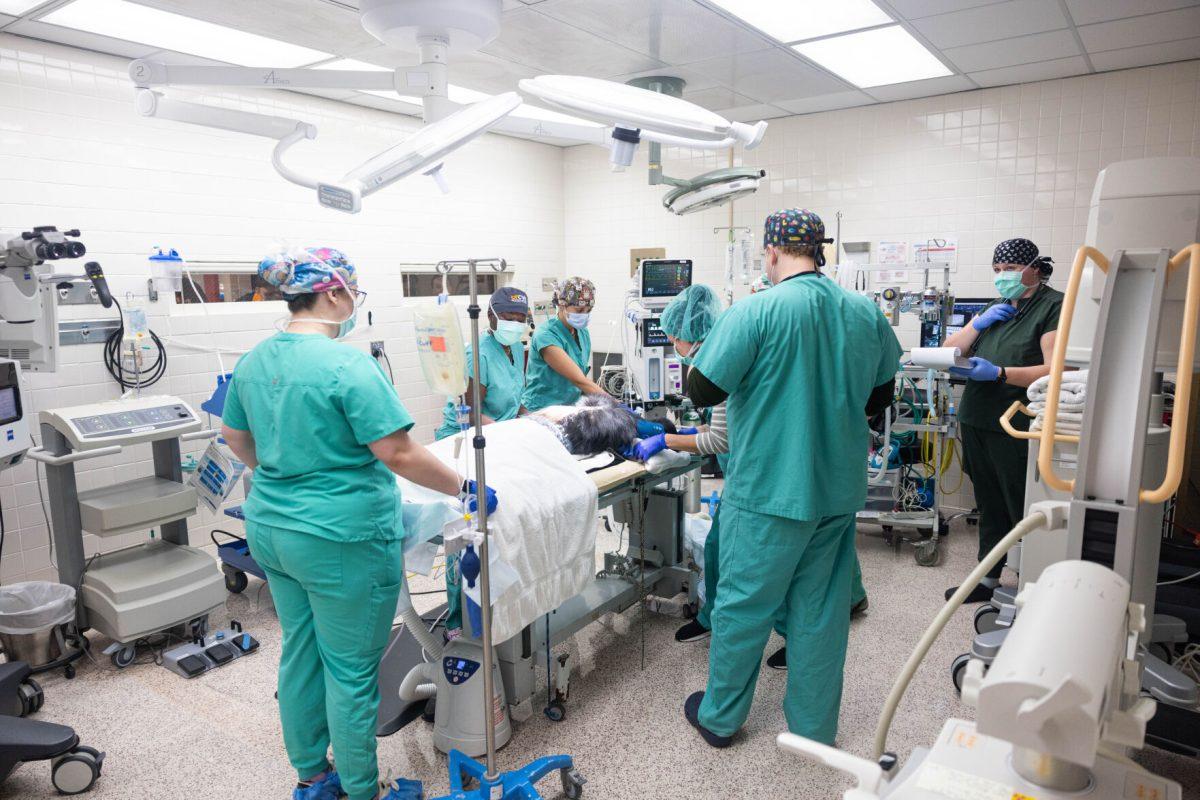 Surgeons conducting the spinal procedure on chimpanzee Mwelu Lu. Friday, September 19, 2025.