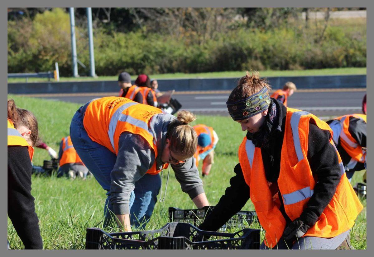 Volunteers of Keep Knoxville Beautiful work to clean up the city. Thursday, Oct. 9, 2025. 