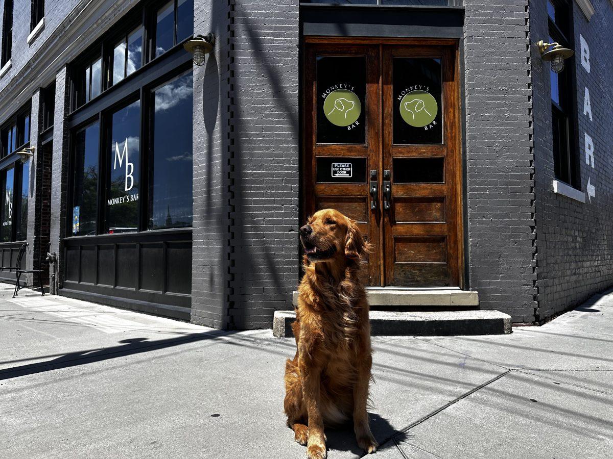 Monkey's bar is located at 103 W Depot Ave. Monday, Oct. 20, 2025.