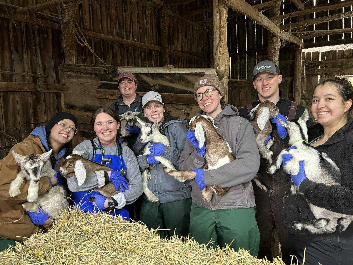 Members of the Class of 2025 and farm animal medical resident Lyndsee Miniard hold dairy goat kids during a farm animal call.