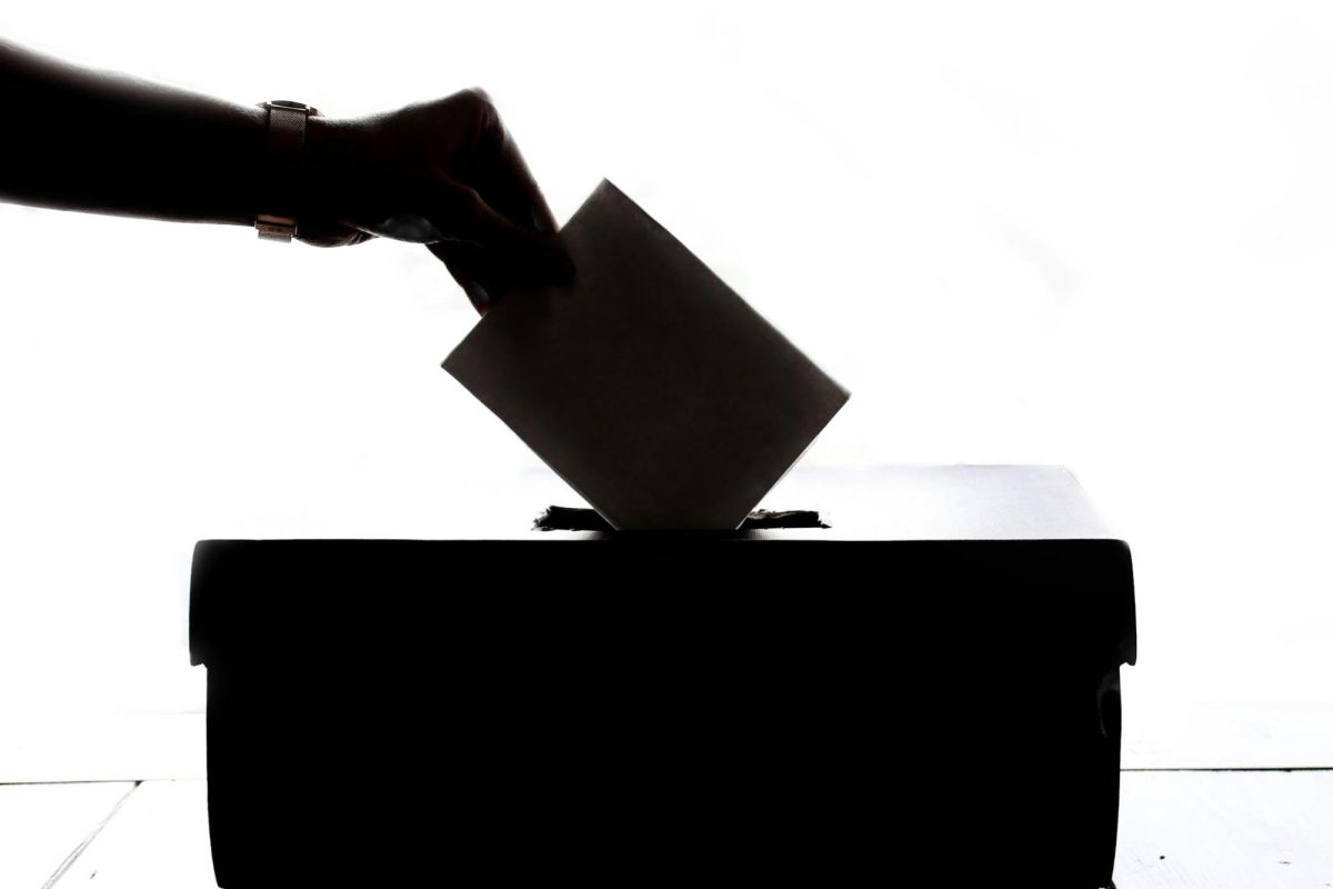 Election day roundup: Knoxville’s winners and losers