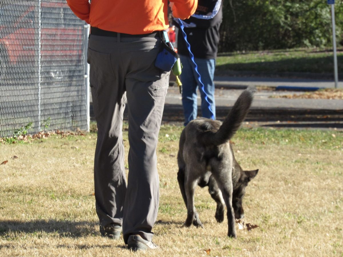 To support Young Williams, volunteers help exercise dogs at the shelter, alongside community donations of pet food, bedding and supplies. November 18, 2025.