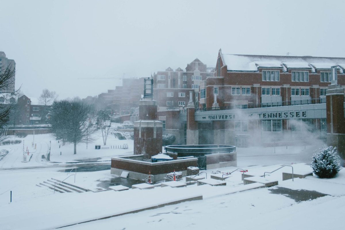Snow covers Rocky Top. January 31, 2026. 