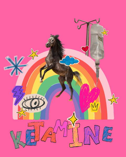 From horse tranquilizer to party drug, to hot, new mental health tool, ketamine has been through a few major rebrands. Where does it stand today and why is it so popular?
